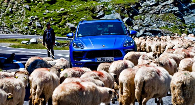 Marianu ni dosti mar za porscheje – tu jih je videl več kot jih bo verjetno marsiko v življenju. Tako je, če je tvoja pisarna prelaz v katerega se je zaljubil celo Jeremy Clarkson. I Foto: Saša Kapetanovič | Foto: 