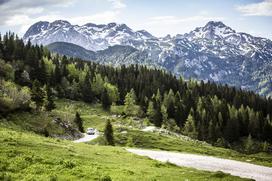 Rifter, Velika planina