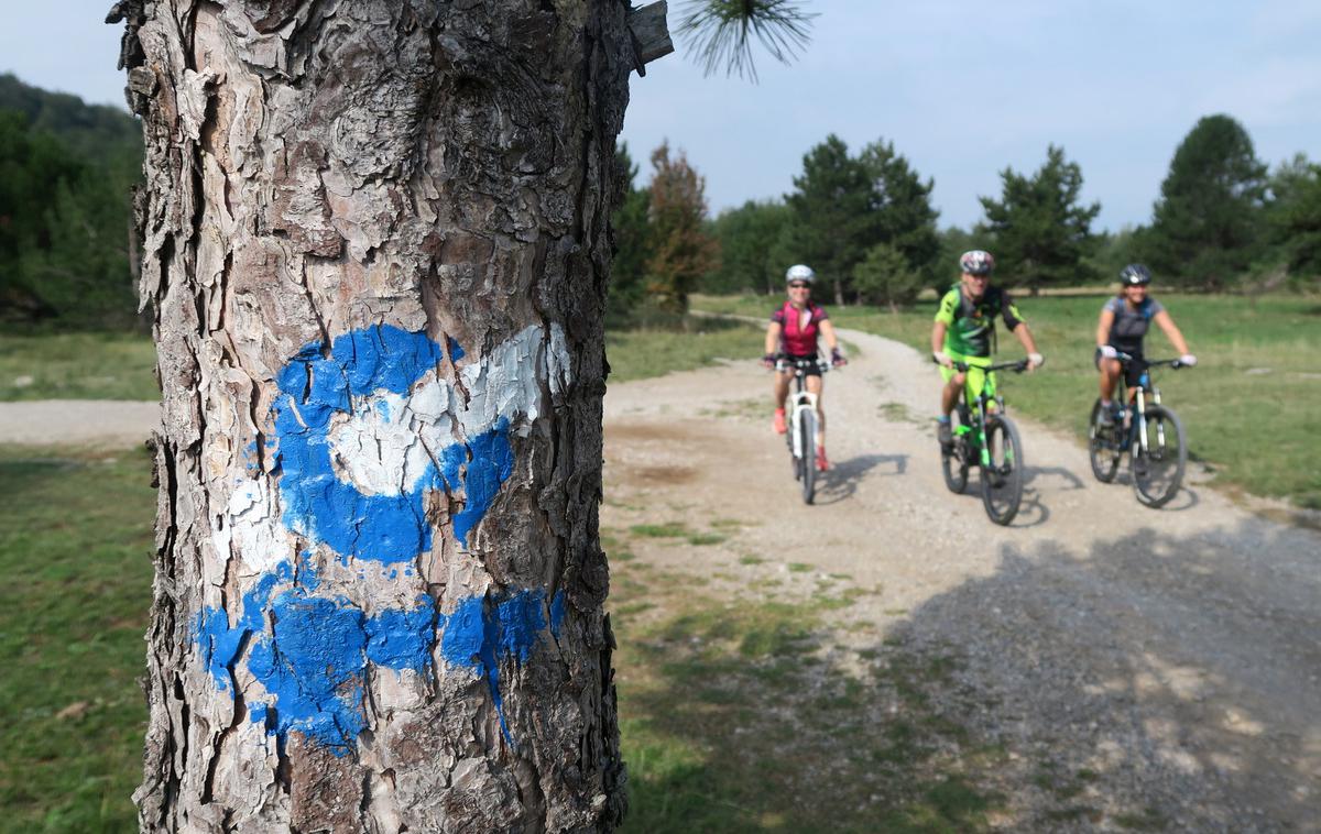 turnokolesarska pot | V soboto, 1. junija, bo v Sloveniji poseben dogodek. Kolesarji bodo poskušali Slovensko turnokolesarsko pot, ki jo sestavlja 41 etap in 1.850 kilometrov, prevoziti v enem dnevu. | Foto Manca Čujež