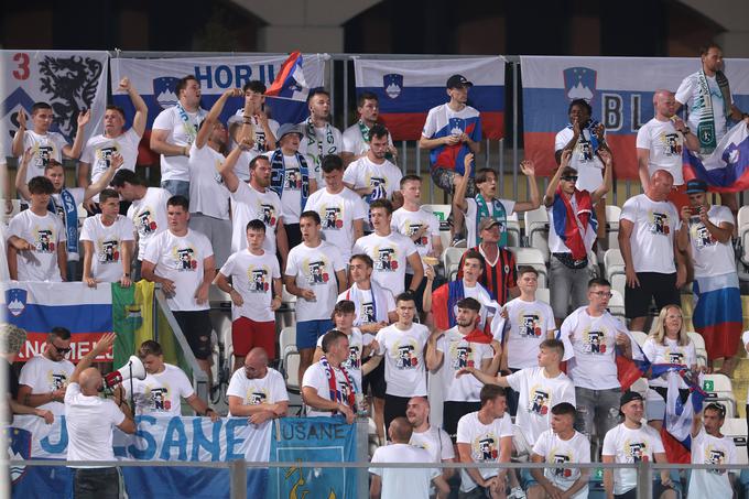 Številni navijači, člani skupine Združenih navijačev Slovenije (ZNS), so se odpravili tudi v San Marino in pričarali imenitno vzdušje. | Foto: Guliverimage