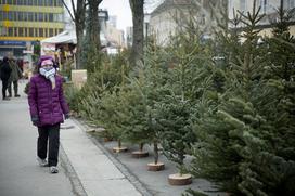 Božična drevesa jelke smreke ljubljanska tržnica