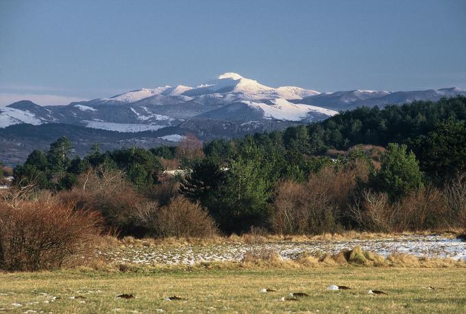 Gozdno mejo na Snežniku namesto smrekovega gozda, kot smo vajeni, ustvarja bukov gozd. | Foto: RRA Zeleni kras d.o.o. (Slovenia.info)