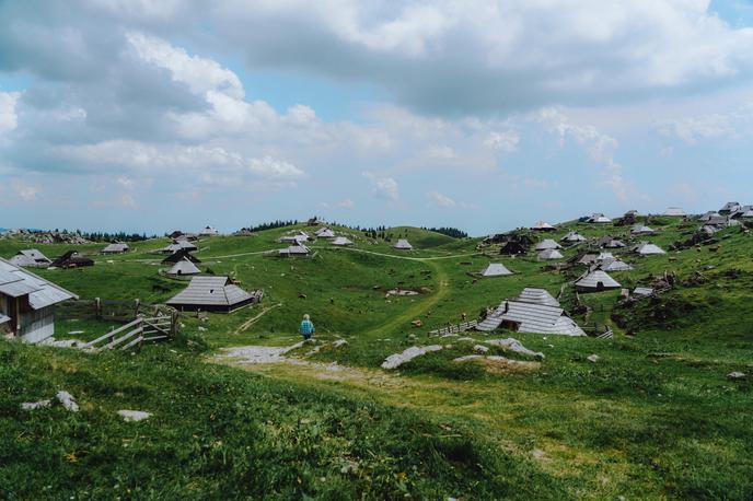 Viki Lešnjak Velika planina | Foto Jan Lukanović