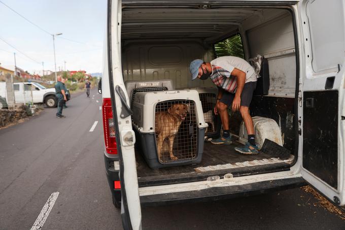 Na varno se prepeljali okoli 5.000 ljudi.  | Foto: Reuters