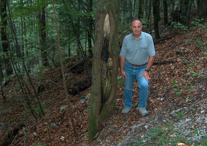 Mnogo let po nesreči ob zanj skoraj usodnem deblu.  | Foto: osebni arhiv