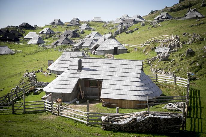 Velika Planina | Foto Ana Kovač