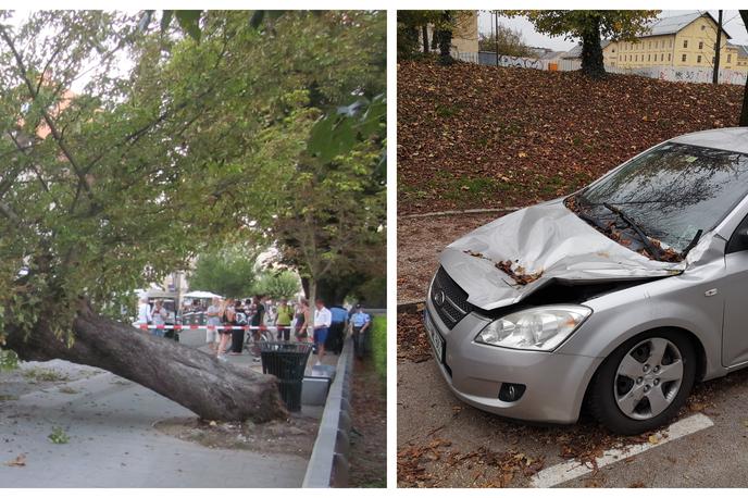 Podrto drevo Rožna dolina | Prizor iz leta 2017, ko se je v središču Ljubljane podrlo drevo, desno pa posledica podrtega drevesa v Rožni dolini. | Foto Siol.net