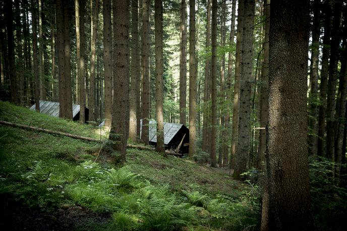 Pohorje | Foto Ana Kovač