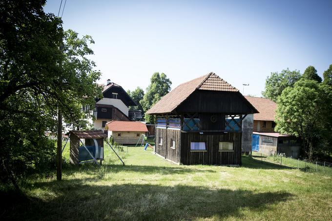 "Ko je pred letu tu klestila toča, velika kot jabolka, smo imeli veliko škode. Na obeh hišah smo morali zamenjati streho," pove Vera. Sicer od vremena niso toliko odvisni, ker imajo zelenjavo v rastlinjakih, a ob deževnih dneh je gostov manj. Na posestvo po svoje "davke" pride divjad, srne jim pojejo vse rože, celo tiste na okenskih policah. Odkar uporablja odganjalec, ki se aktivira ob zaznanem premiku z bliskom in visokim piskanjem, imajo z rožami več sreče. | Foto: Ana Kovač