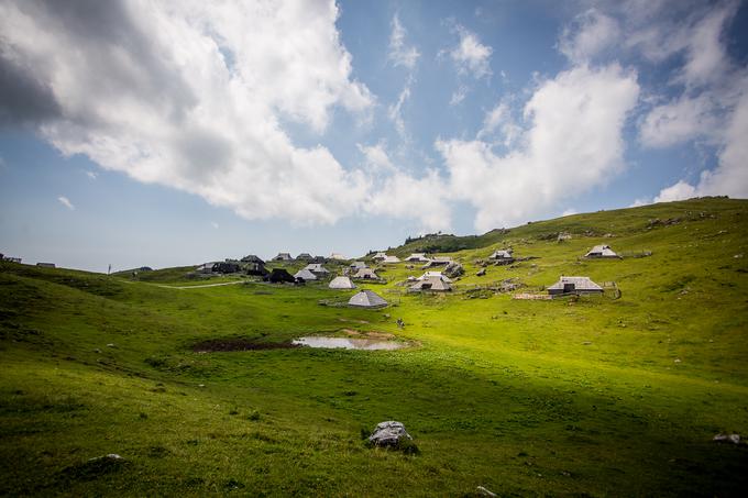 Velika planina | Foto: Žiga Zupan/Sportida