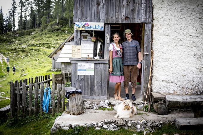 Družbo na planini Metki in Blažu delata kuža Harry in muc Muc. Medtem ko se Harry ni kaj preveč izkazal kot pastirski pes, po glavi mu gre vse drugo kot pa krave, vse več zanimanja za opravljanje njegovih zadolžitev kaže Muc. Metka pove, da se jima je že pridružil na jutranjem obhodu in šel na Zgornji Viševnik, ki je od njune koče oddaljen 30 minut hoda. "Imel je pravo ekskurzijo. Na krave se mora še malo navaditi, saj se je pred njimi skril na drevo, potem pa ni hotel dol," v smehu pripoveduje Metka.  | Foto: Ana Kovač