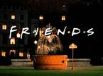 Friends