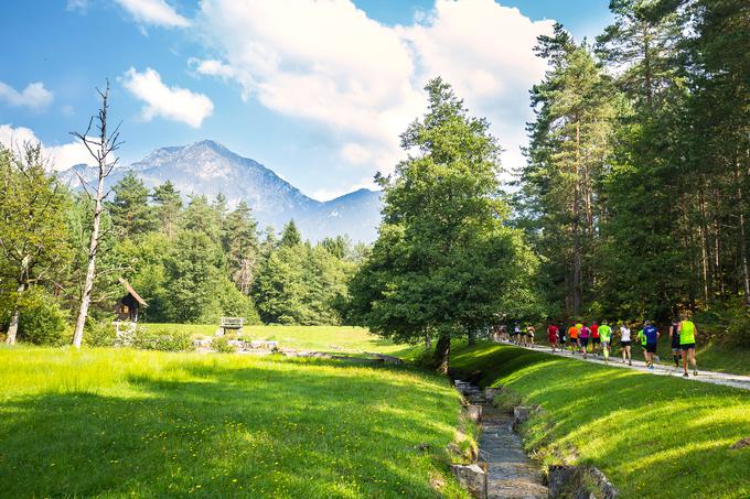 Triglav tek | Foto: 