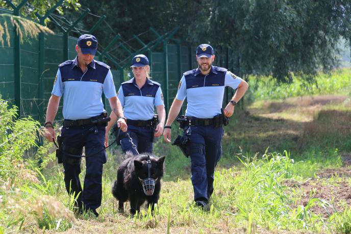 Policija | Na policiji pričakujejo, da se bo rast števila nezakonitih prehodov meje nadaljevala. | Foto Slovenska policija