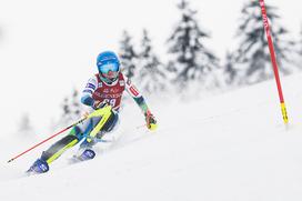 Zlata lisica, slalom