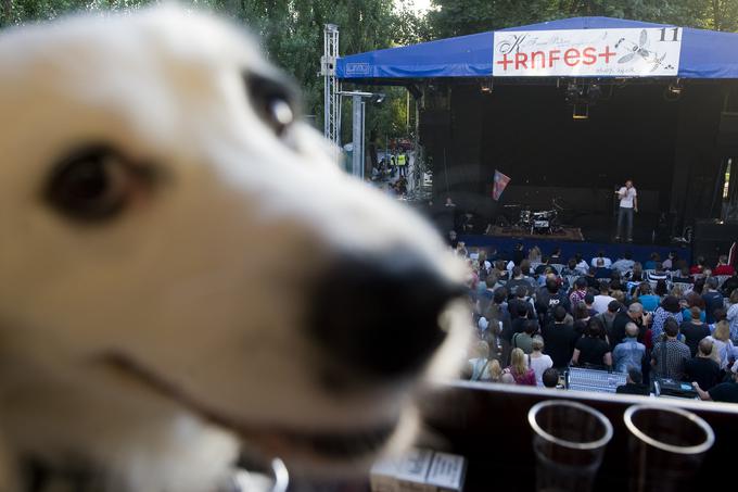 V KUD zatrjujejo, da bo Trnfest tudi letos odprl svoja vrata. Tradicionalni avgustovski festival se že nekaj zadnjih let izvaja po zaslugi entuziastov in nesebičnih nastopajočih, ki se odrečejo honorarjem. | Foto: Matej Leskovšek