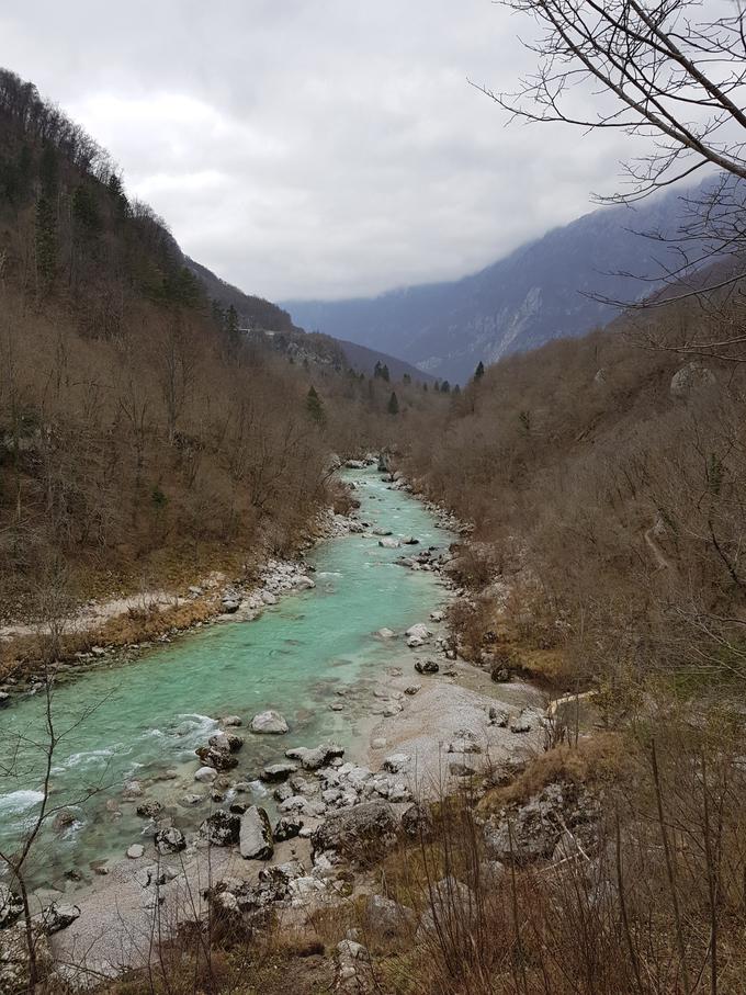 Kasneje se je kajakašici, katere identiteto še preverjajo, uspelo izplavati do brežine in se rešiti iz reke. | Foto: PU Nova Gorica