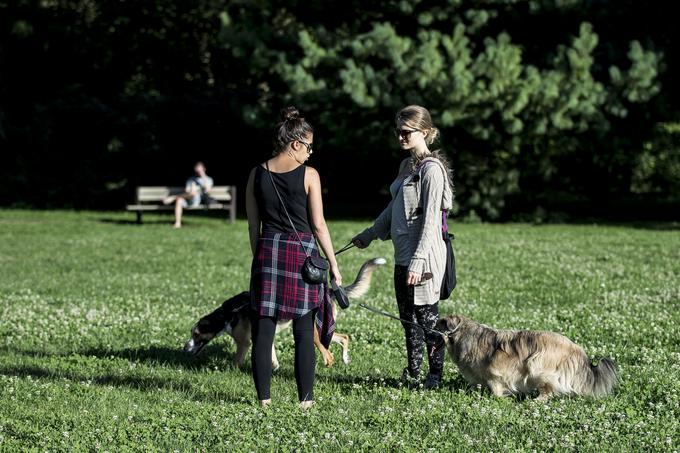 park ljubljana 2019 | Foto: Ana Kovač