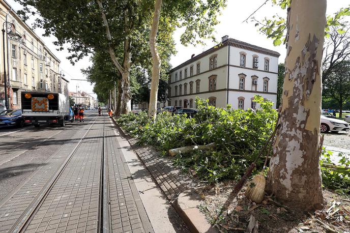 Nevihta. Hrvaška. Zagreb. | V hrvaški prestolnici je ob nalivu poplavilo nekaj ulic, zrušilo se je več dreves. Gasilci so po navedbah poveljstva civilne zaščite opravili približno 30 intervencij, večinoma zaradi poplavljenih stanovanj ali kleti ter padlih dreves na javnih površinah. | Foto Goran Stanzl/Pixsell