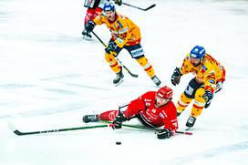 HDD Jesenice Asiago Alpska liga polfinale