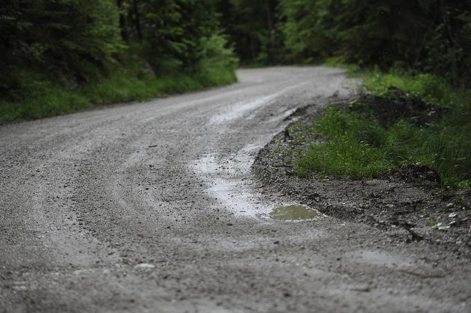 Makadamska cesta je tudi zaradi gozdne službe in odvoza lesa v zelo dobrem stanju. Koniguracija ceste je zelo ritmična in tekoča.  | Foto: Gregor Pavšič