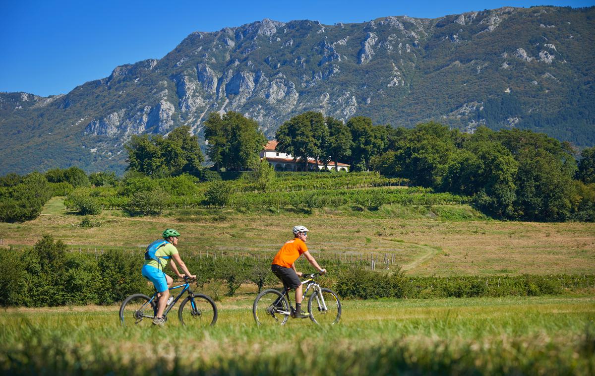 Vipavska dolina, Zemono | Foto Tomo Jeseničnik (www.slovenia.info)