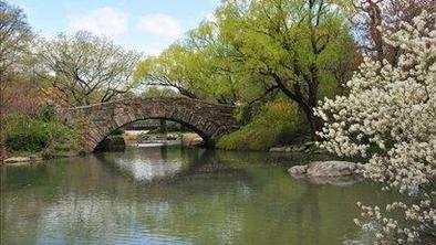 Newyorški Centralni park