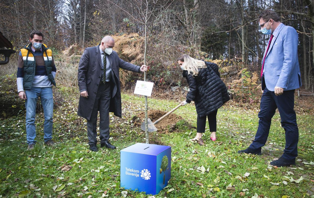 Čebelarska zveza Slovenije - Telekom Slovenije. | Prvo od 15 milijonov novih medovitih dreves, ki naj bi jih Slovenija dobila do leta 2030. | Foto Bojan Puhek