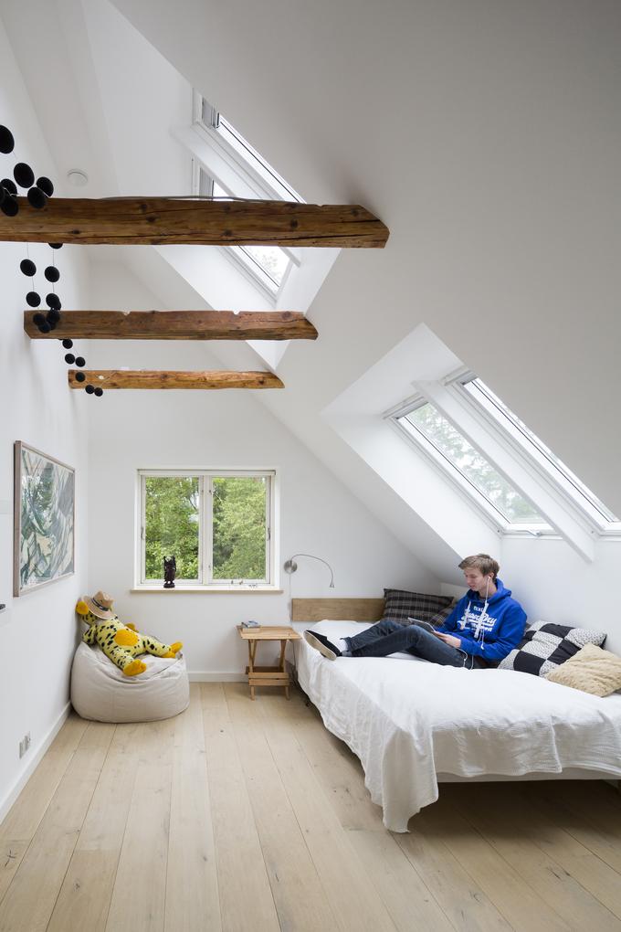 Velux | Foto: 