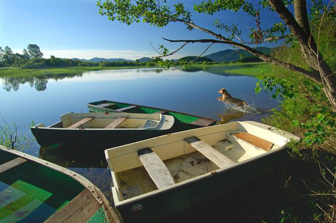 Cerkniško jezero je približno devet mesecev na leto jezero v pravem pomenu besede, v preostalem delu leta pa se spremeni v travnik in sprehajalne poti. Foto: Tomo Jeseničnik, www.slovenia.info.  | Foto: 