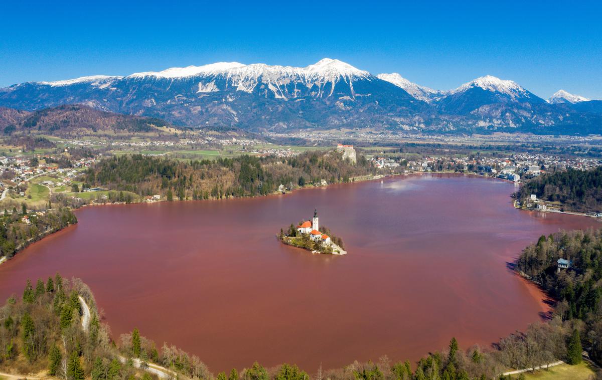 Bled - cvetenje | Pogled na blejski biser je bil pretekli teden nenavaden. | Foto Matic Klanšek Velej/Sportida