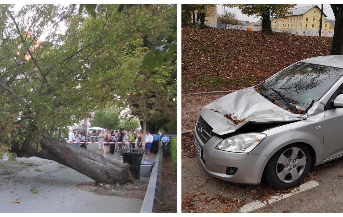 Podrto drevo Rožna dolina | Prizor iz leta 2017, ko se je v središču Ljubljane podrlo drevo, desno pa posledica podrtega drevesa v Rožni dolini. | Foto Siol.net