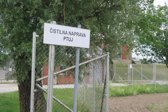 Čistilna naprava Ptuj | Foto: STA ,