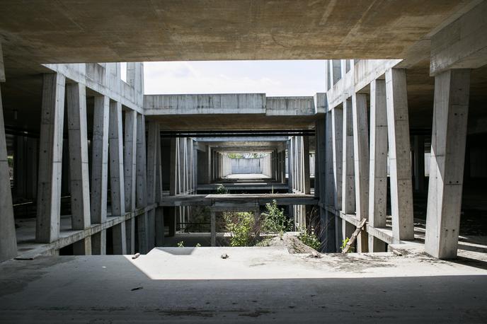 Grep, Stožice. | Foto Klemen Korenjak