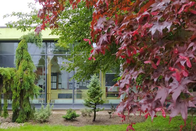 ŠHVU, Celje | Foto Šola za hortikulturo in vizualne umetnosti Celje