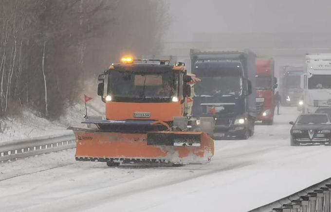 Popoldanski prizor pri Razdrtem. | Foto: Rajko Štefančič