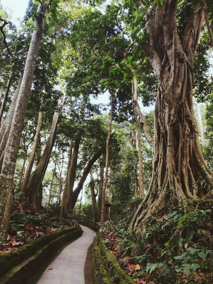 Bali | Foto: Osebni arhiv