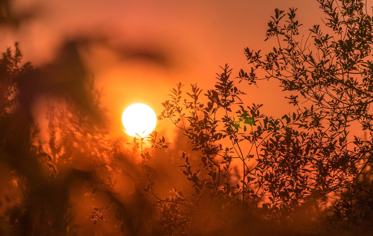 Vročina, sonce | Meteorologi napovedujejo, da bo letošnje poletje v ZDA bolj vroče kot običajno, razlog je poleg podnebnih sprememb vpliv pojava el nino. | Foto Unsplash