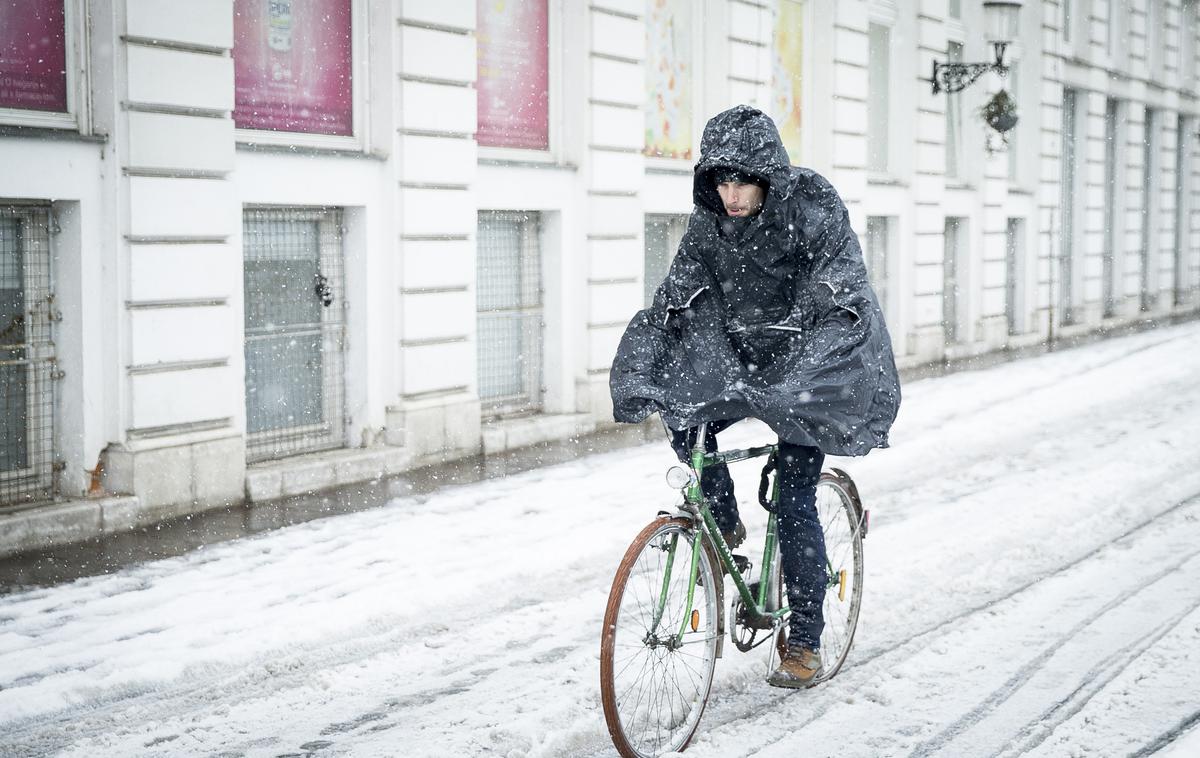 sneg | V torek zjutraj se bo meja sneženja ponekod spustila do nižin. | Foto Ana Kovač