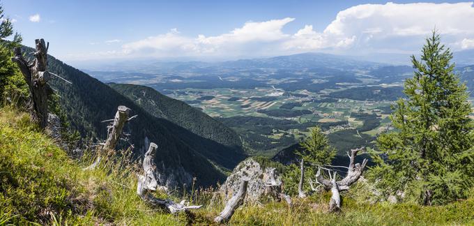 koroška | Foto: Getty Images