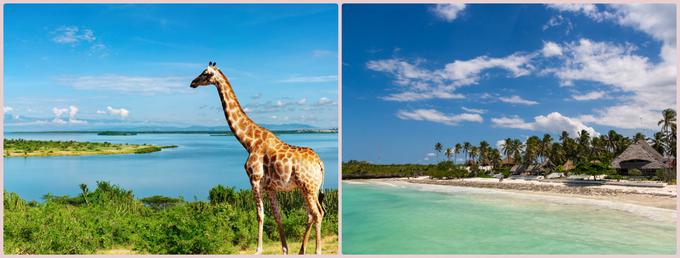 Uganda in Zanzibar | Foto: 