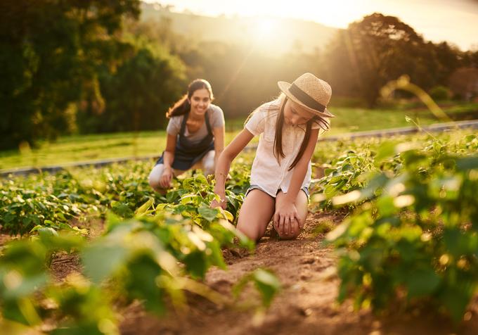 vrt, vrtnarjenje | Foto: Shutterstock