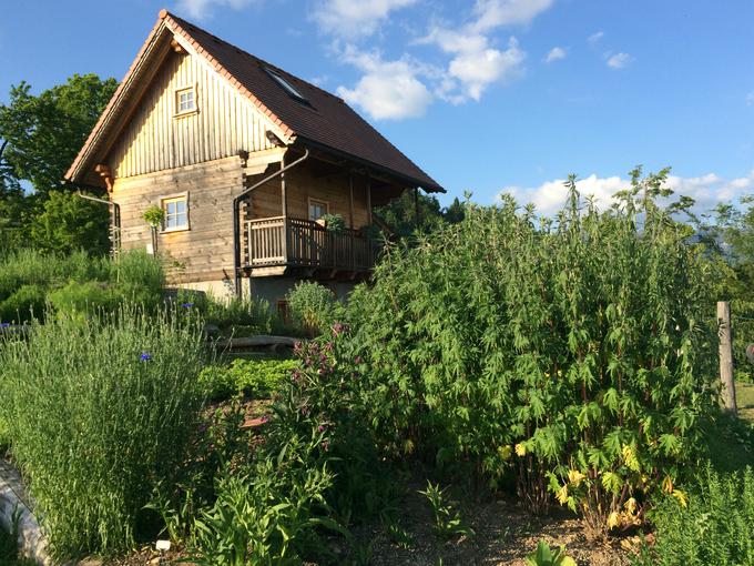 Grilc z družino živi na ekološki kmetiji na Šenturški gori na južnem pobočju Krvavca. Ukvarjajo se zelišči in rejo jelenov. | Foto: Osebni arhiv