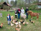 Herman Kisilak Čebelji gradič med čebele kmetija turizem Prekmurje Rogašovci