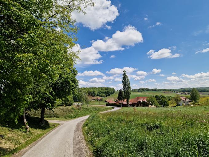 Večji del poti je po stranskih asfaltnih cestah. | Foto: Matej Podgoršek