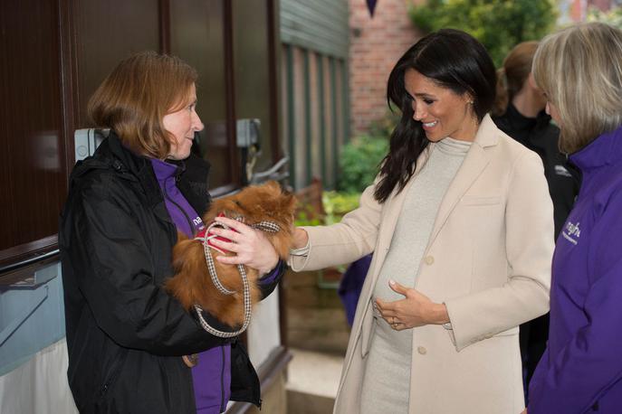 Meghan Markle | Meghan je obiskala zavetišče za zapuščene živali. | Foto Getty Images