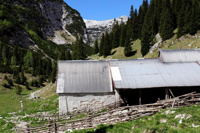 Mimo planine proti planinskemu domu in Krnskemu jezeru. | Foto: Matej Podgoršek