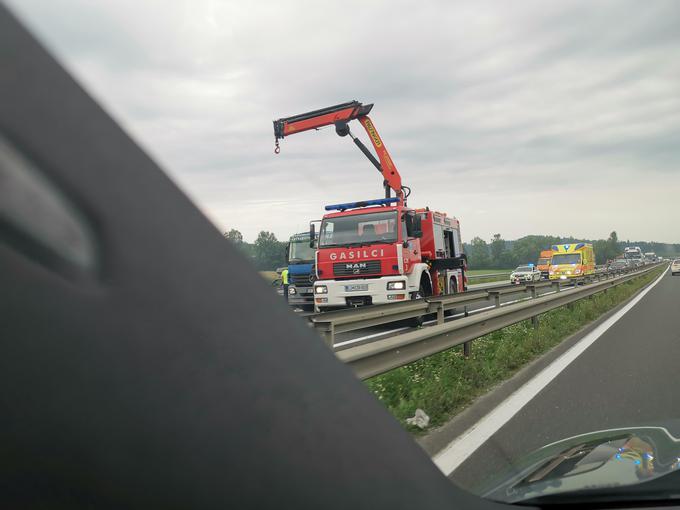 neserča štajerka | Foto: Gašper Pirman