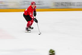 Alpska liga: Jesenice - Gardena