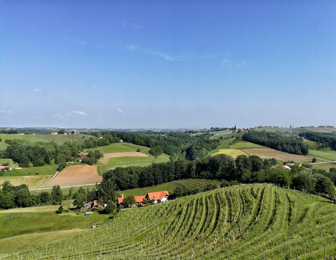 Če boste v Taverni tudi prespali, boste zjutraj deležni tega razgleda. | Foto: Miha First